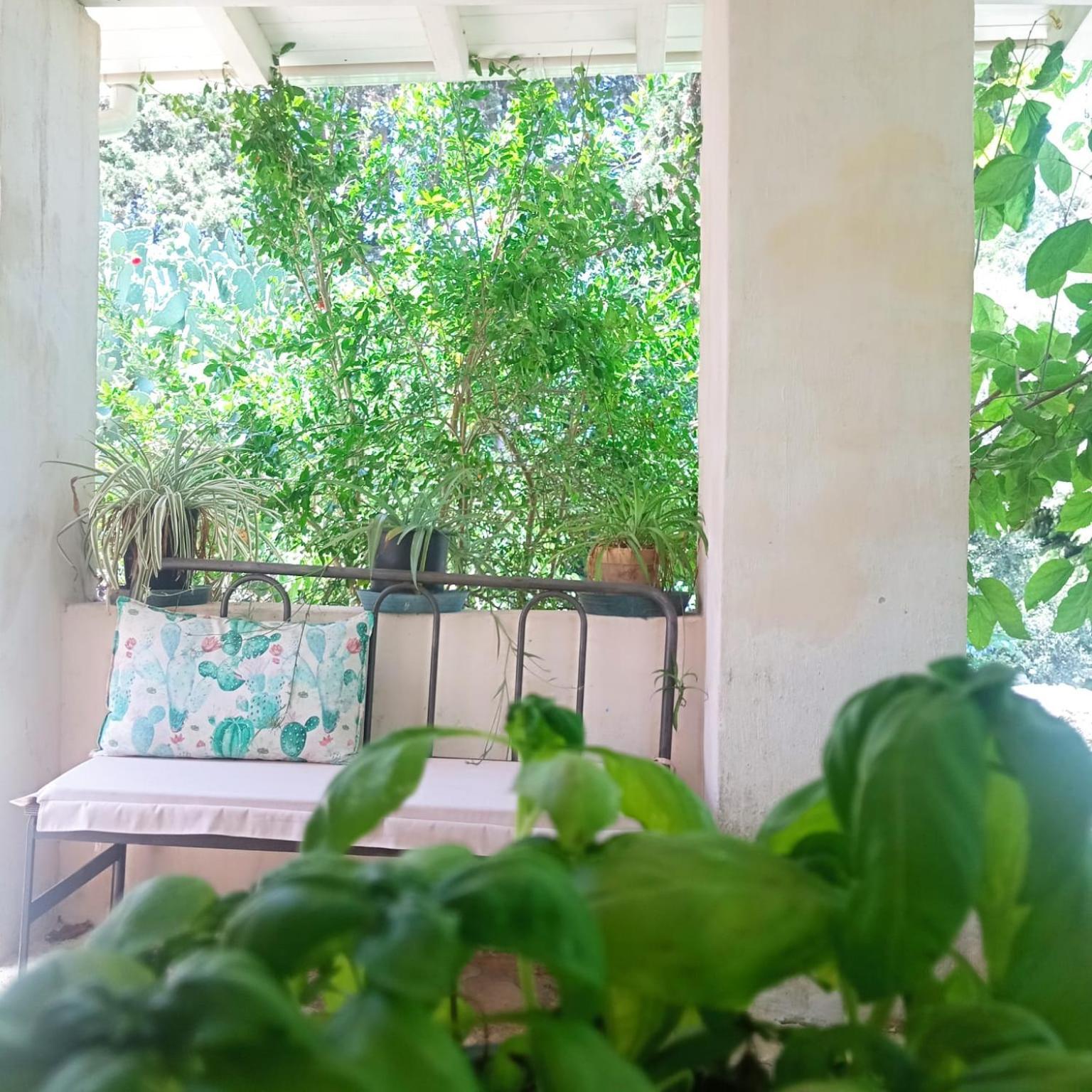 Masseria Delle Rose 1760 Alessano Cameră foto